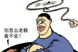 隆德企业清欠服务